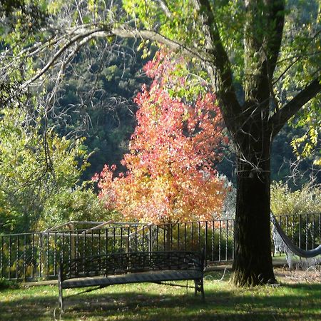 Can Barrina Montseny Dış mekan fotoğraf