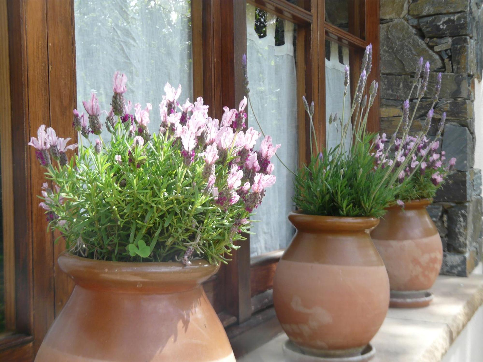 Can Barrina Montseny Dış mekan fotoğraf