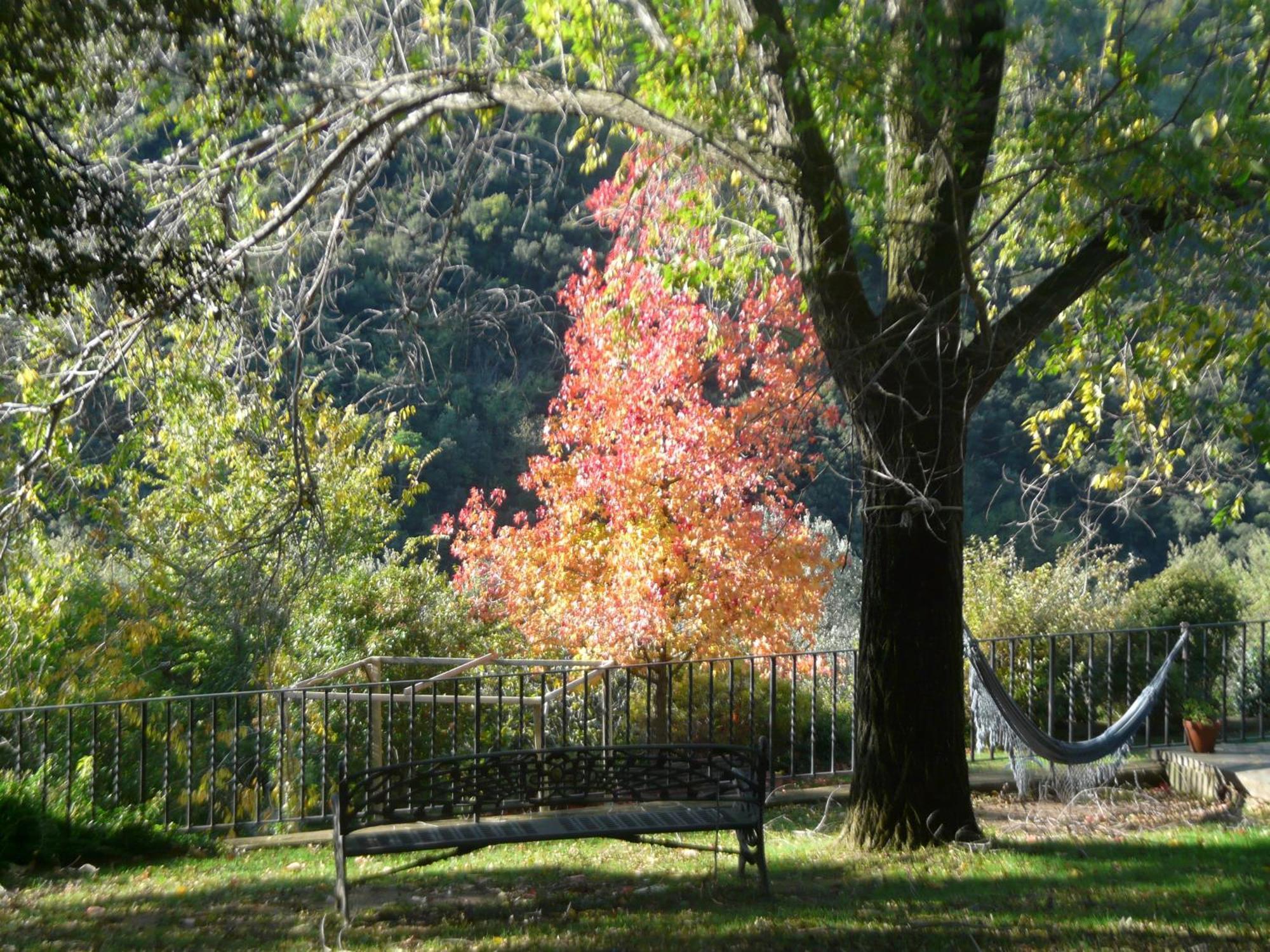 Can Barrina Montseny Dış mekan fotoğraf