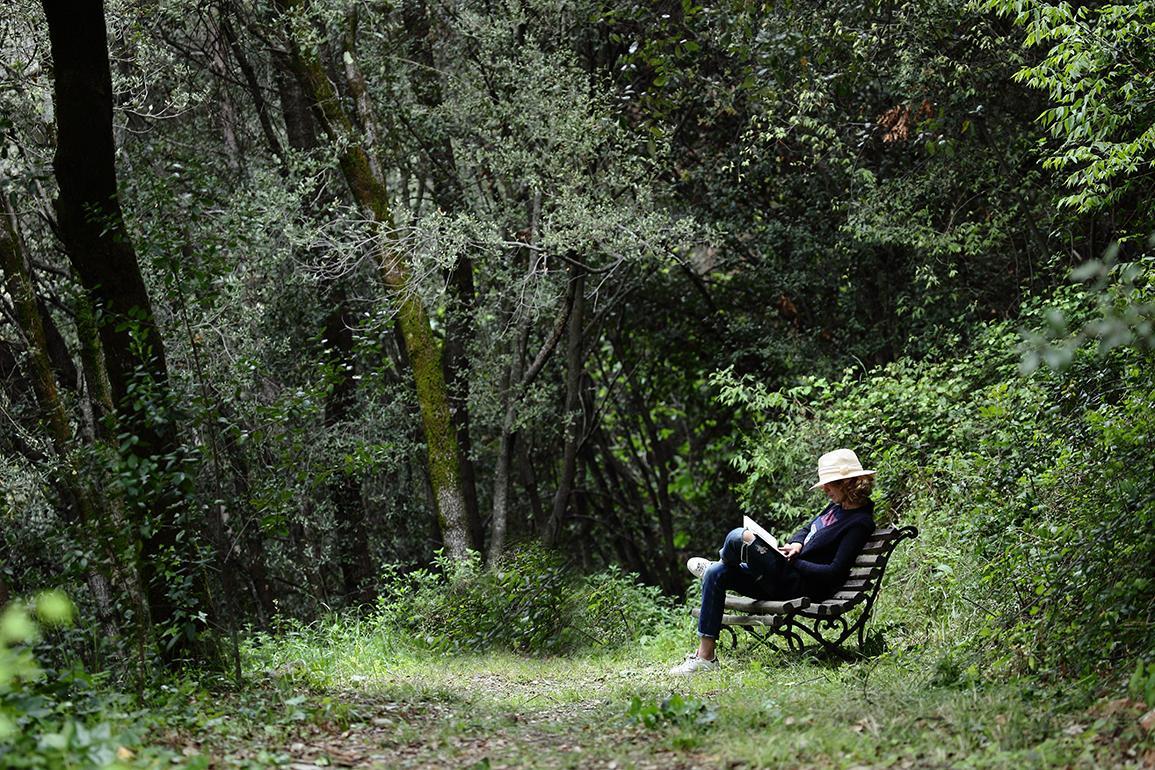 Can Barrina Montseny Dış mekan fotoğraf