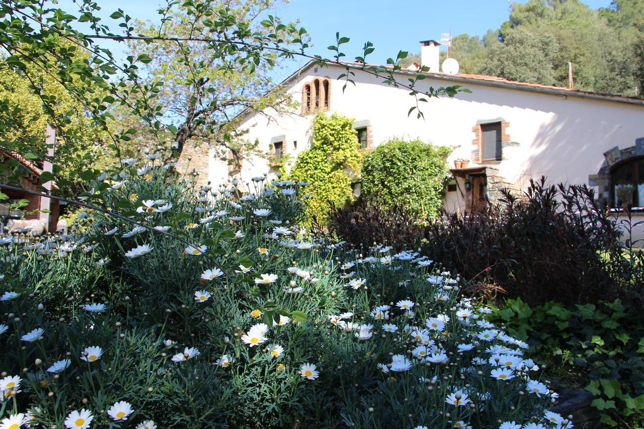 Can Barrina Montseny Dış mekan fotoğraf